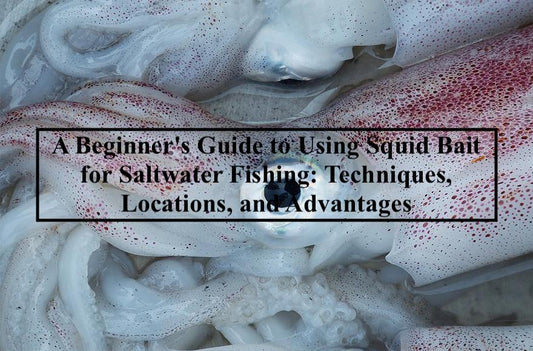 A Beginner's Guide to Using Squid Bait for Saltwater Fishing - Techniques, Locations, and Advantages