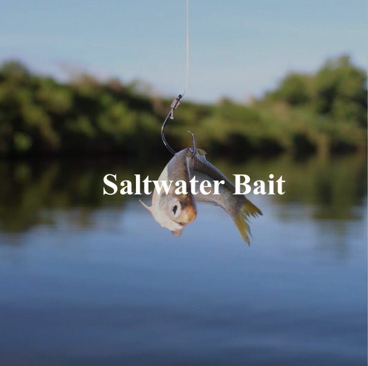 Saltwater Bait
